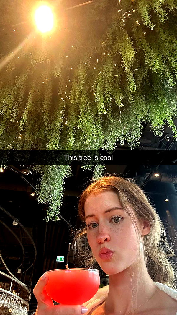 mira.0004 image ~ Altpins