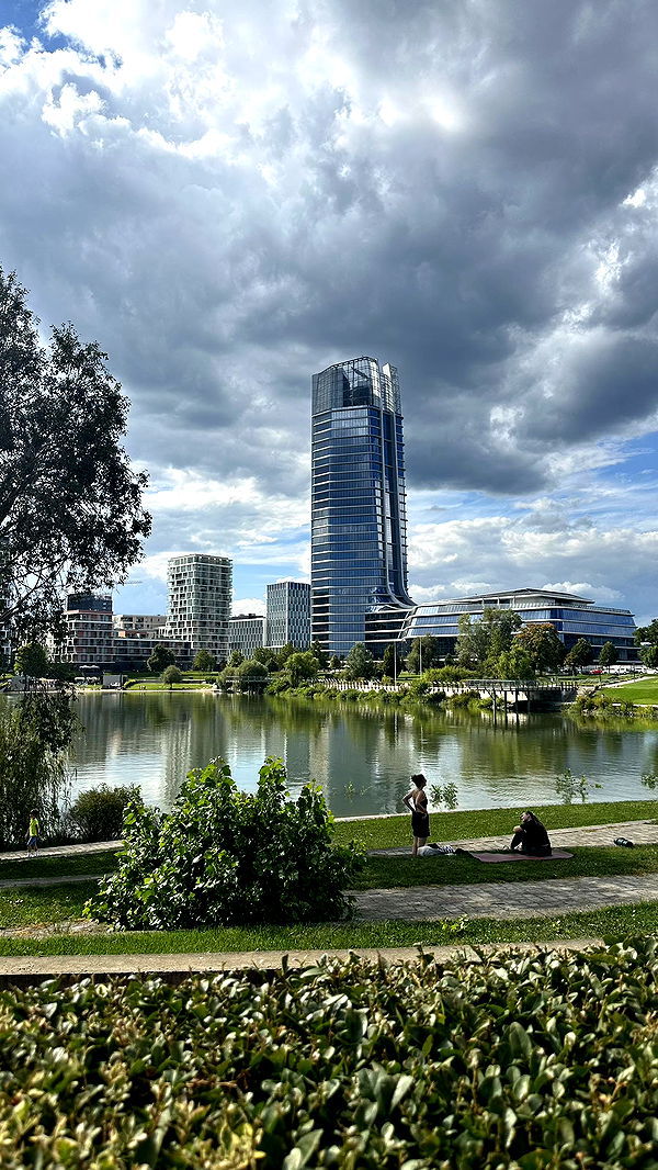 mira.0004 image ~ Altpins