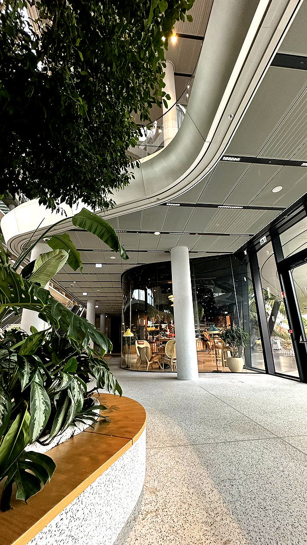 mira.0004 image ~ Altpins