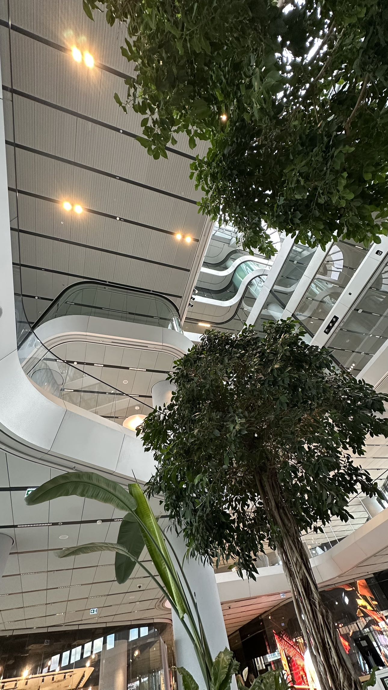 mira.0004 snapchat image archive image