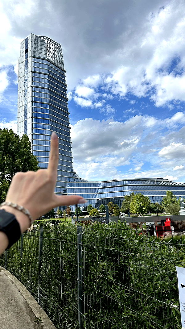 mira.0004 image ~ Altpins