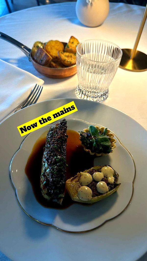 mira.0004 image ~ Altpins