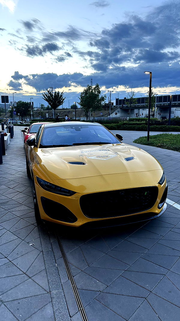 mira.0004 image ~ Altpins