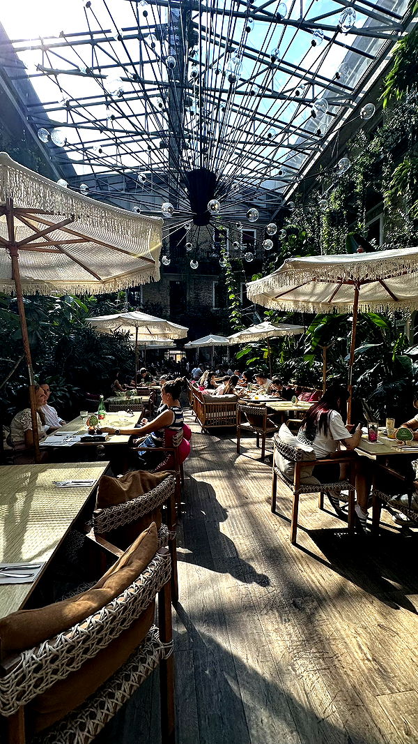 mira.0004 image ~ Altpins