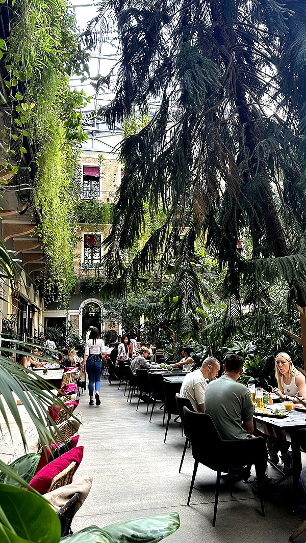 mira.0004 image ~ Altpins