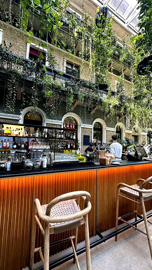 mira.0004 image ~ Altpins