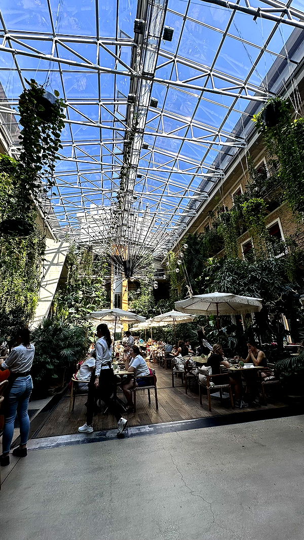 mira.0004 image ~ Altpins