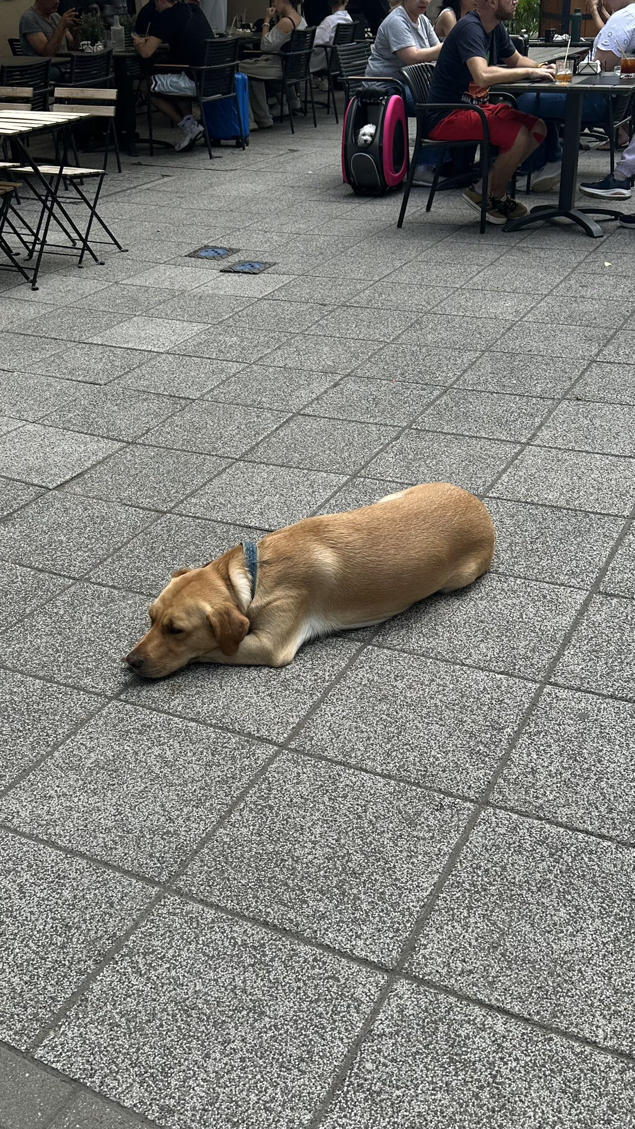 mira.0004 snapchat image archive image