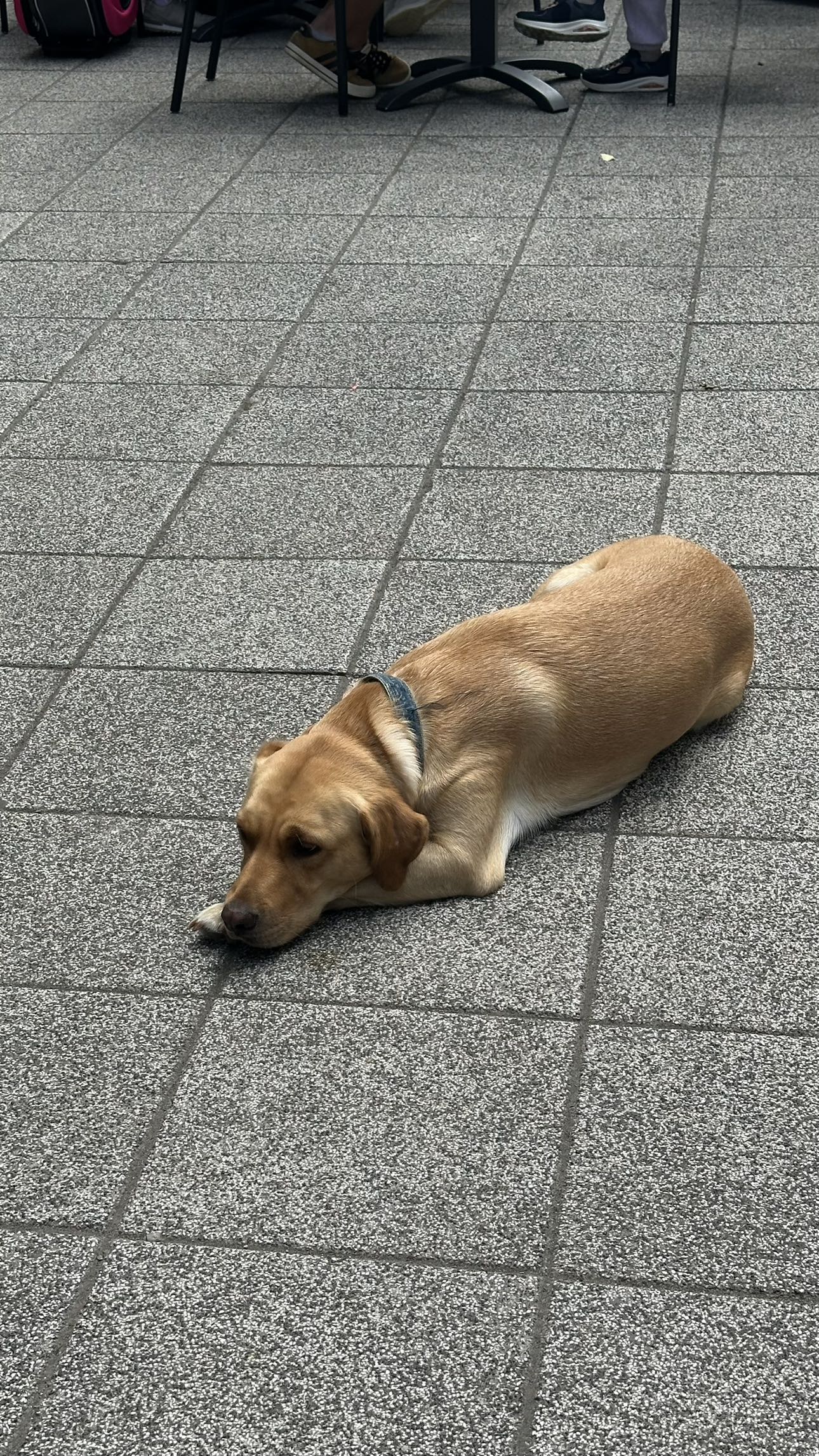 mira.0004 snapchat image archive image