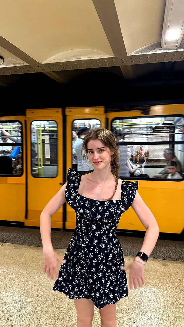 mira.0004 image ~ Altpins