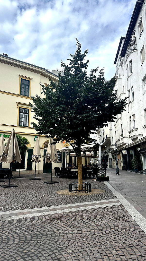 mira.0004 image ~ Altpins