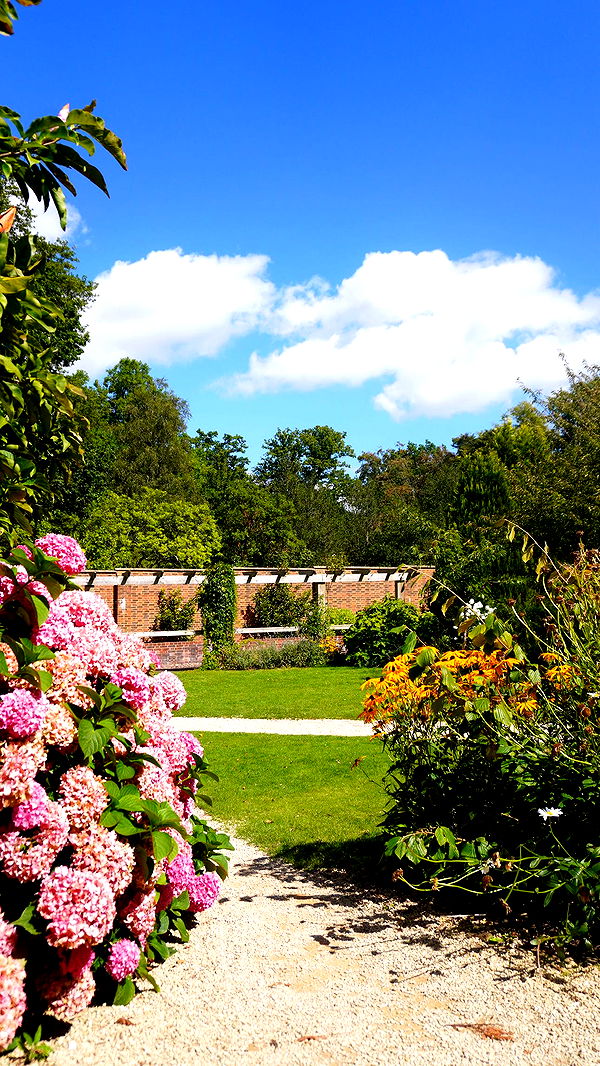 mira.0004 image ~ Altpins