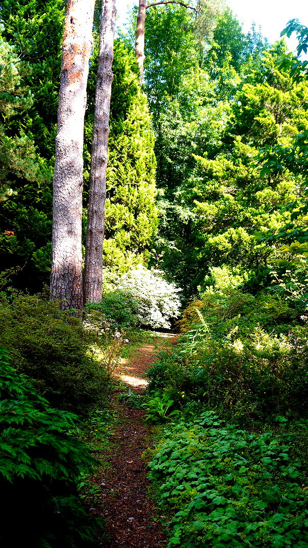 mira.0004 image ~ Altpins