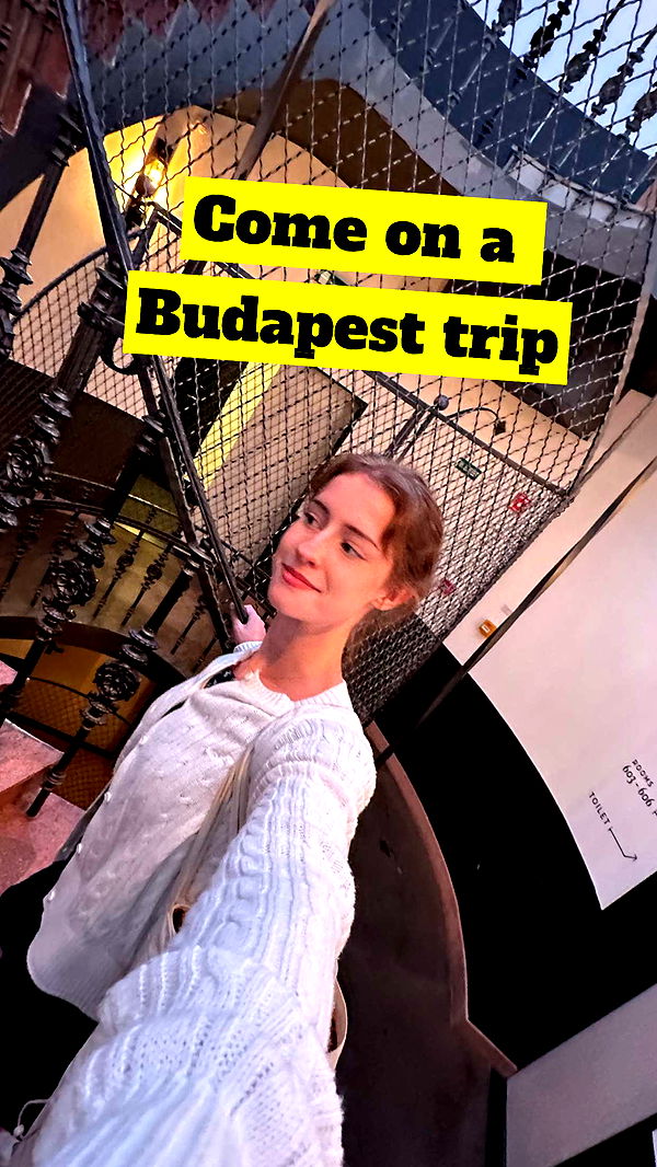 mira.0004 image ~ Altpins