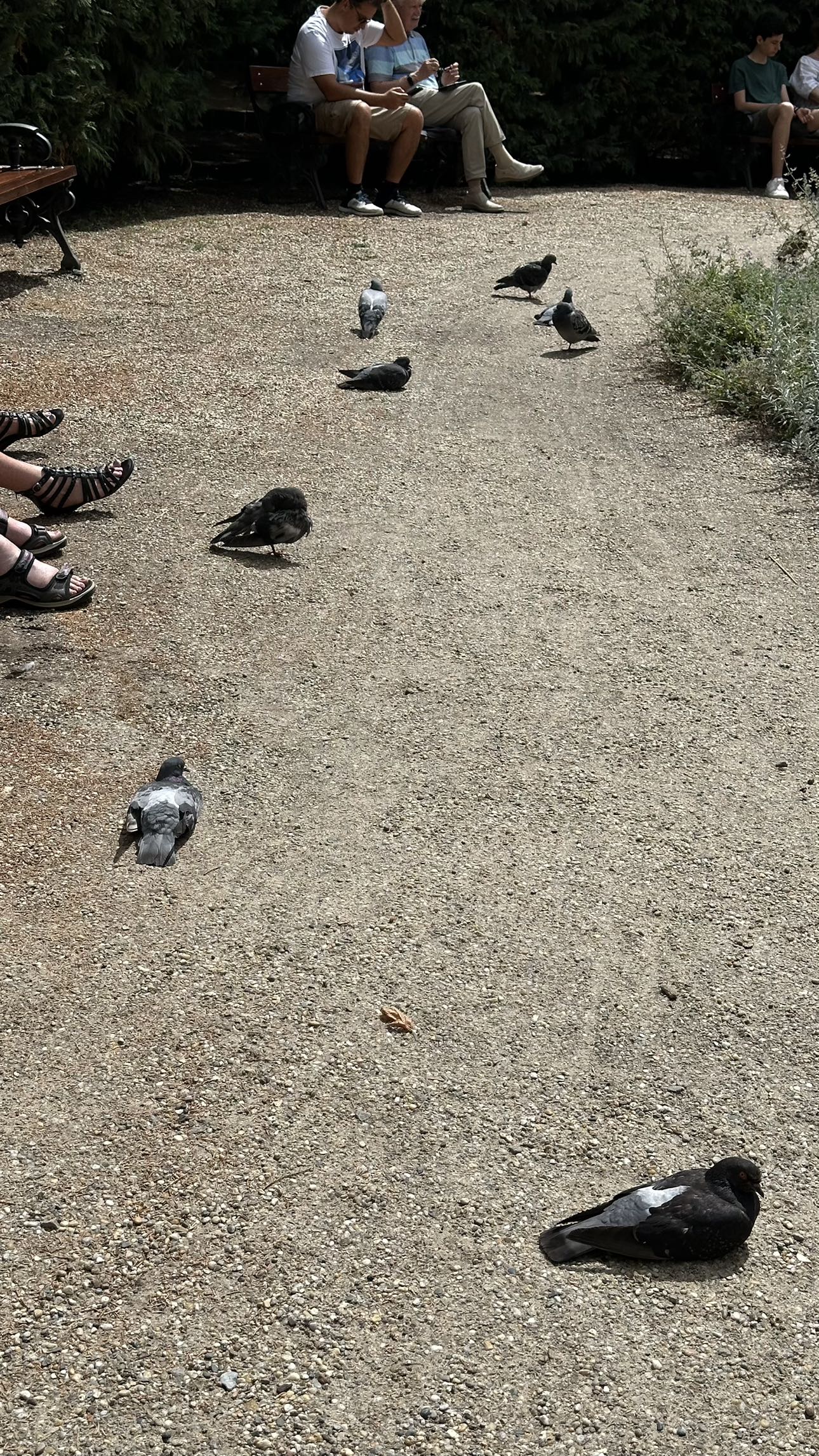 mira.0004 snapchat image archive image