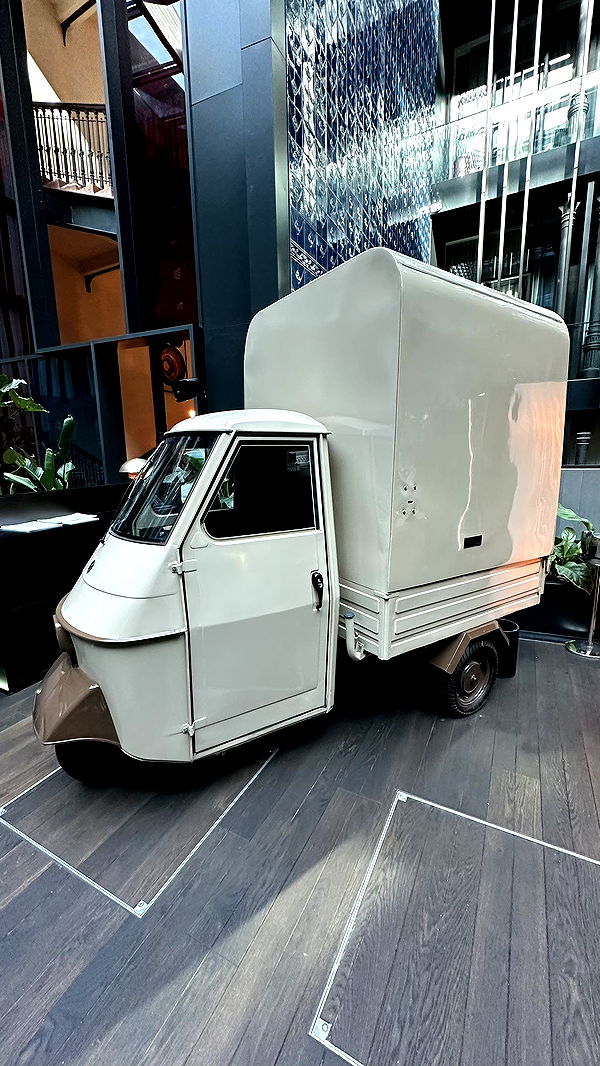 mira.0004 image ~ Altpins