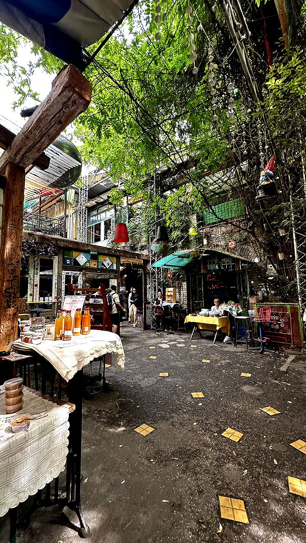 mira.0004 image ~ Altpins