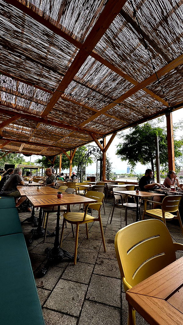 mira.0004 image ~ Altpins