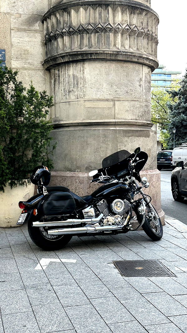 mira.0004 image ~ Altpins