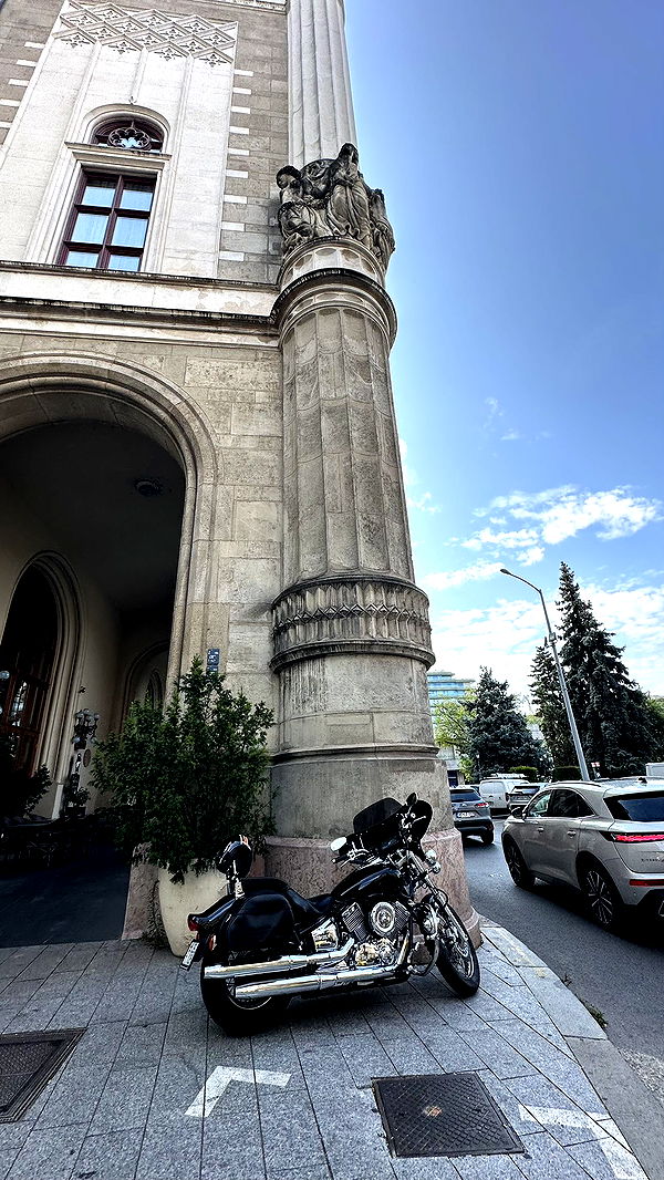 mira.0004 image ~ Altpins