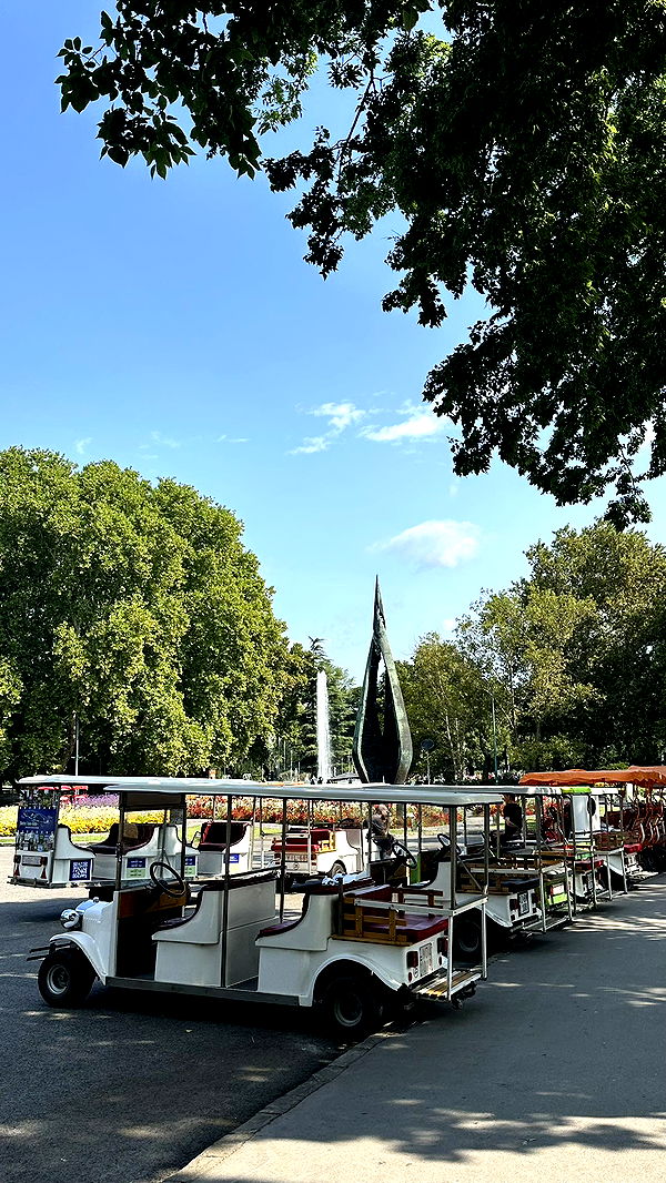 mira.0004 image ~ Altpins