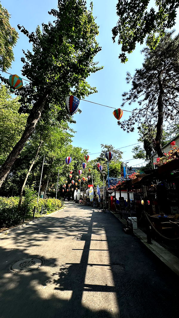 mira.0004 image ~ Altpins