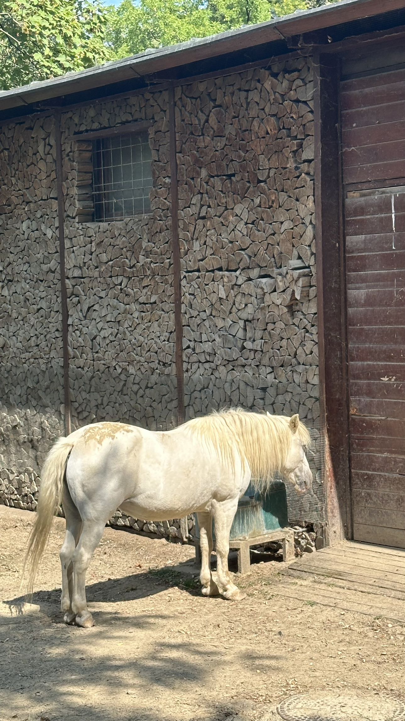 mira.0004 snapchat image archive image