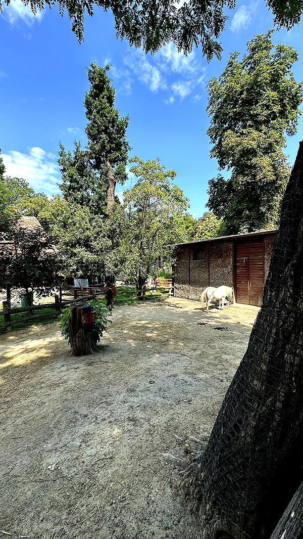 mira.0004 image ~ Altpins