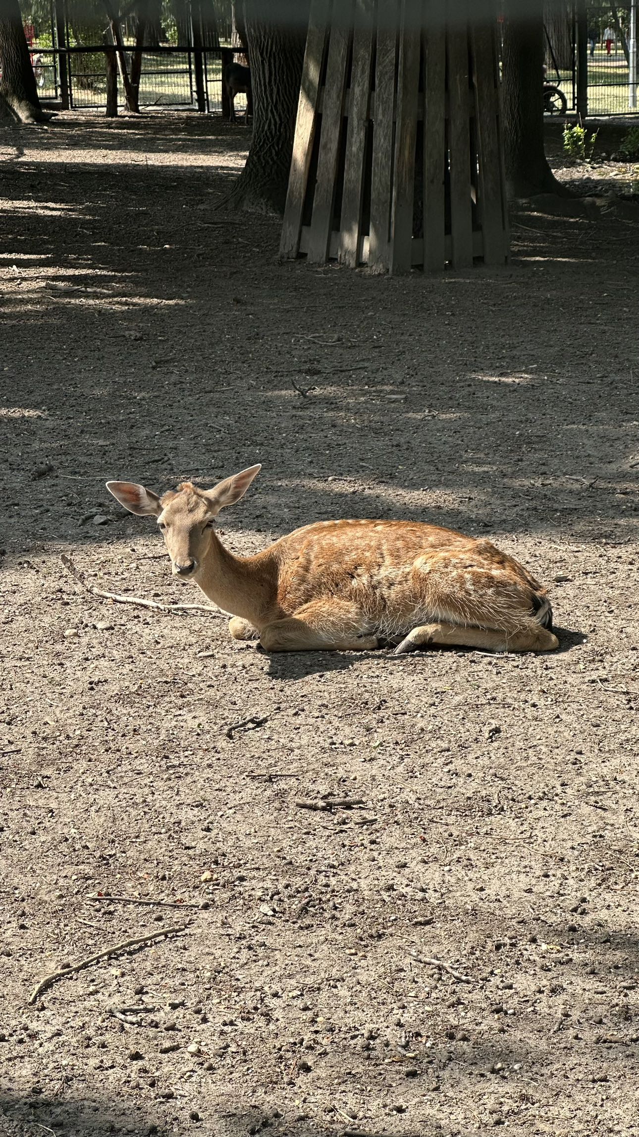 mira.0004 snapchat image archive image