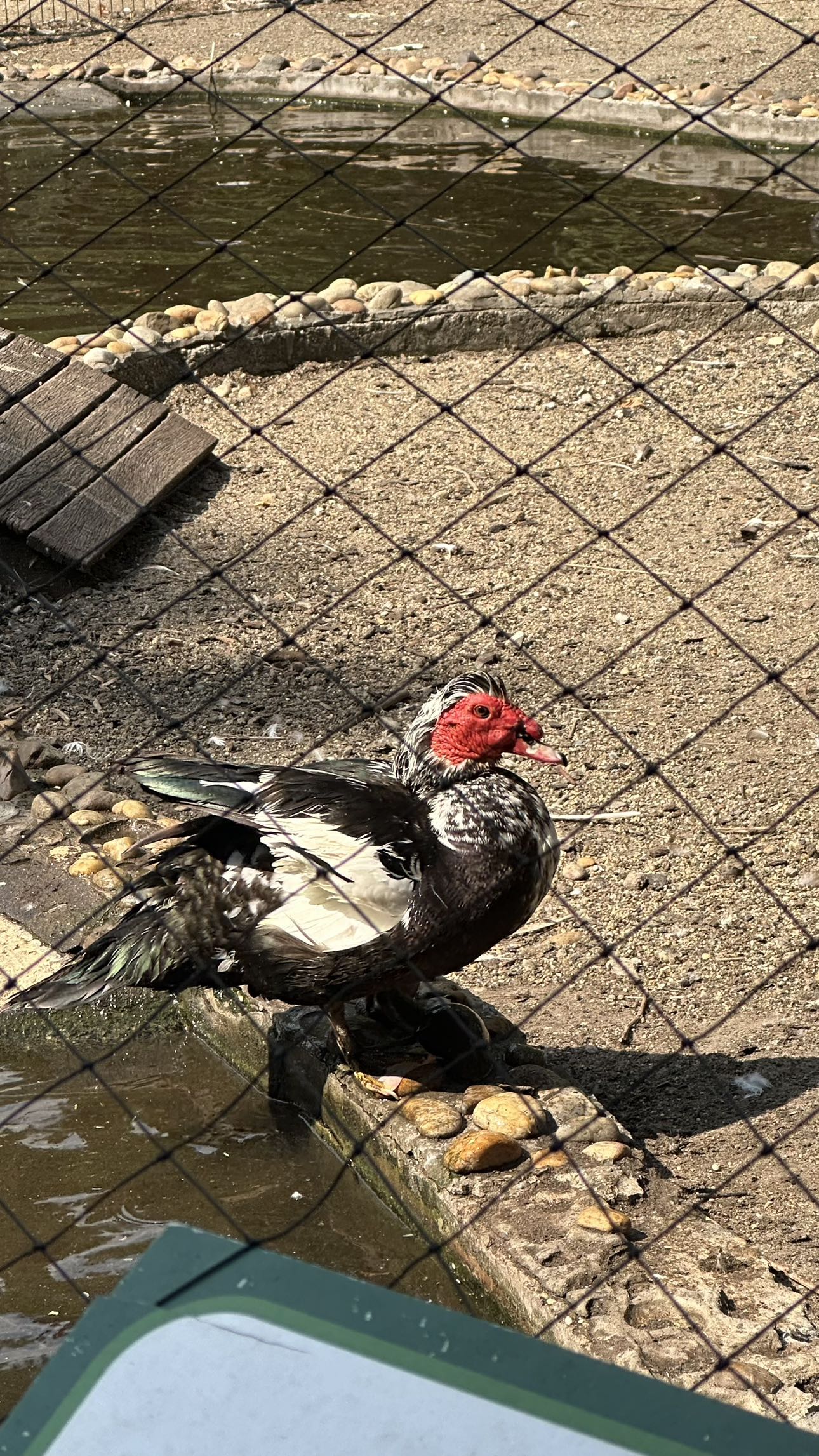 mira.0004 snapchat image archive image