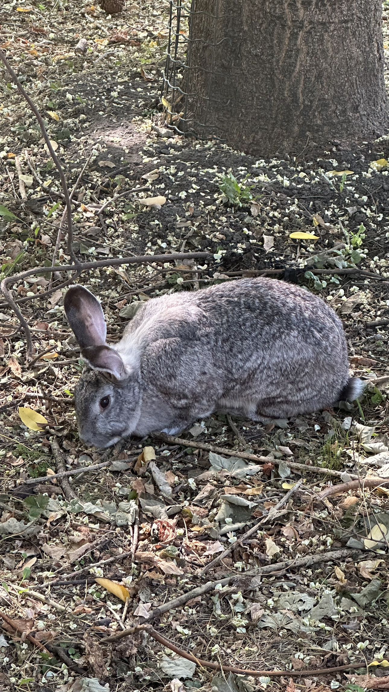 mira.0004 snapchat image archive image