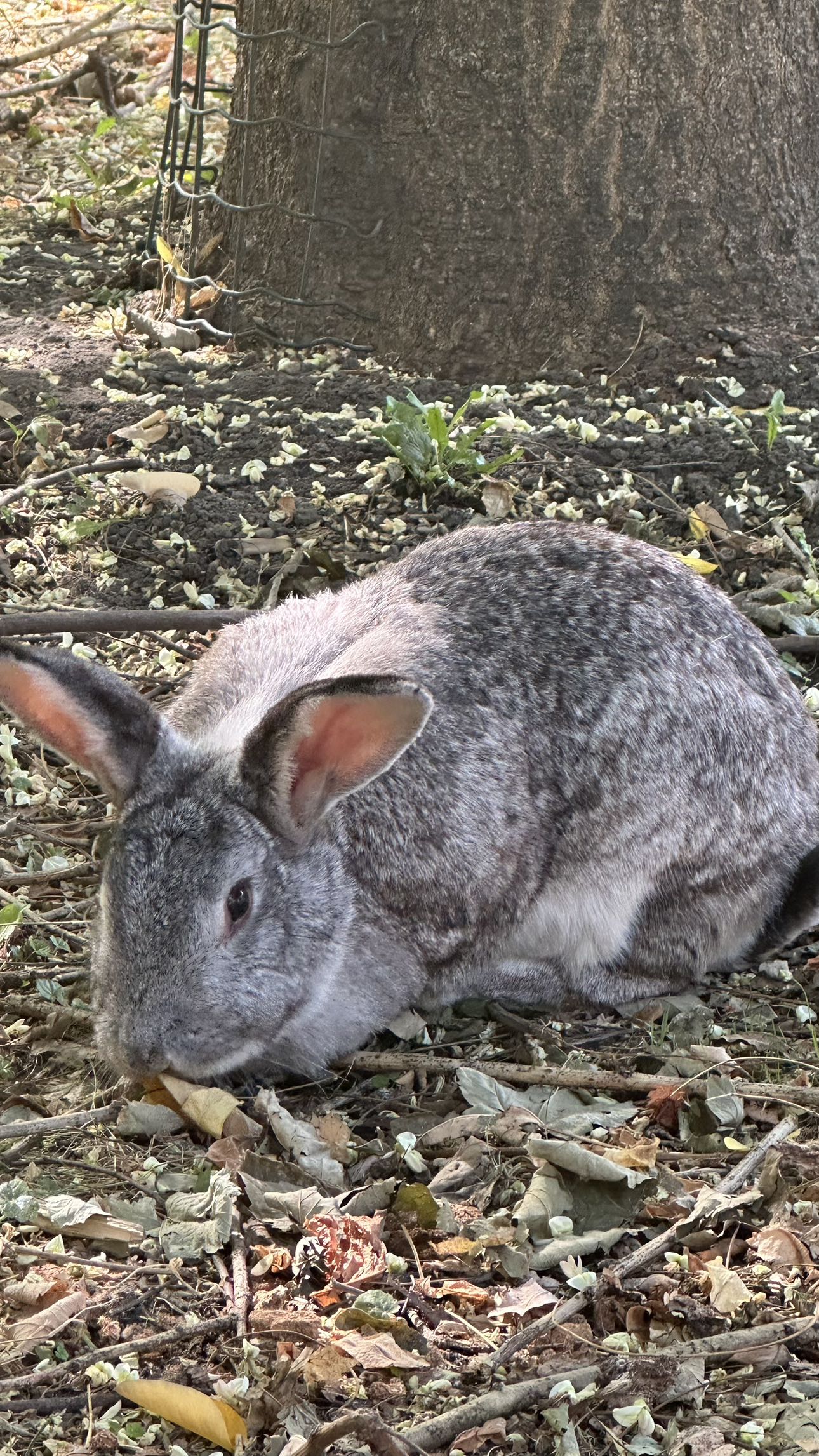 mira.0004 snapchat image archive image