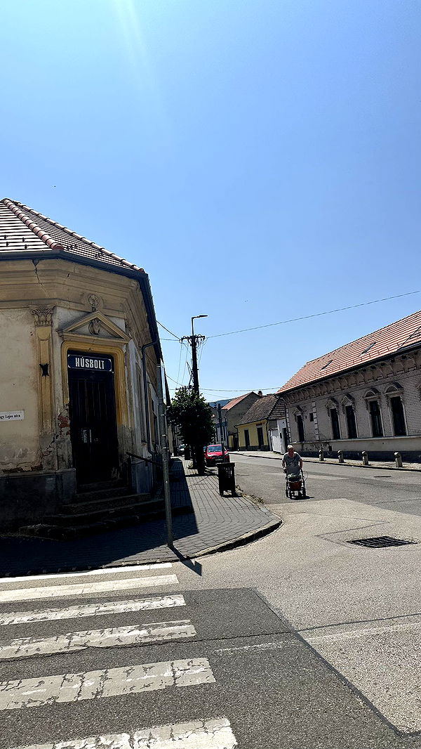 mira.0004 image ~ Altpins