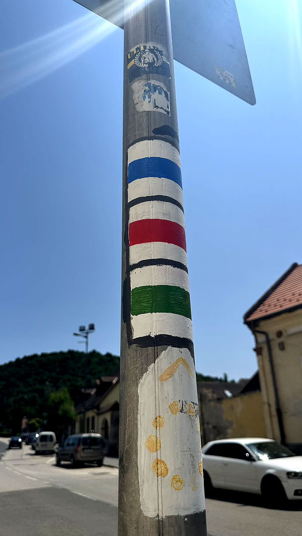 mira.0004 image ~ Altpins