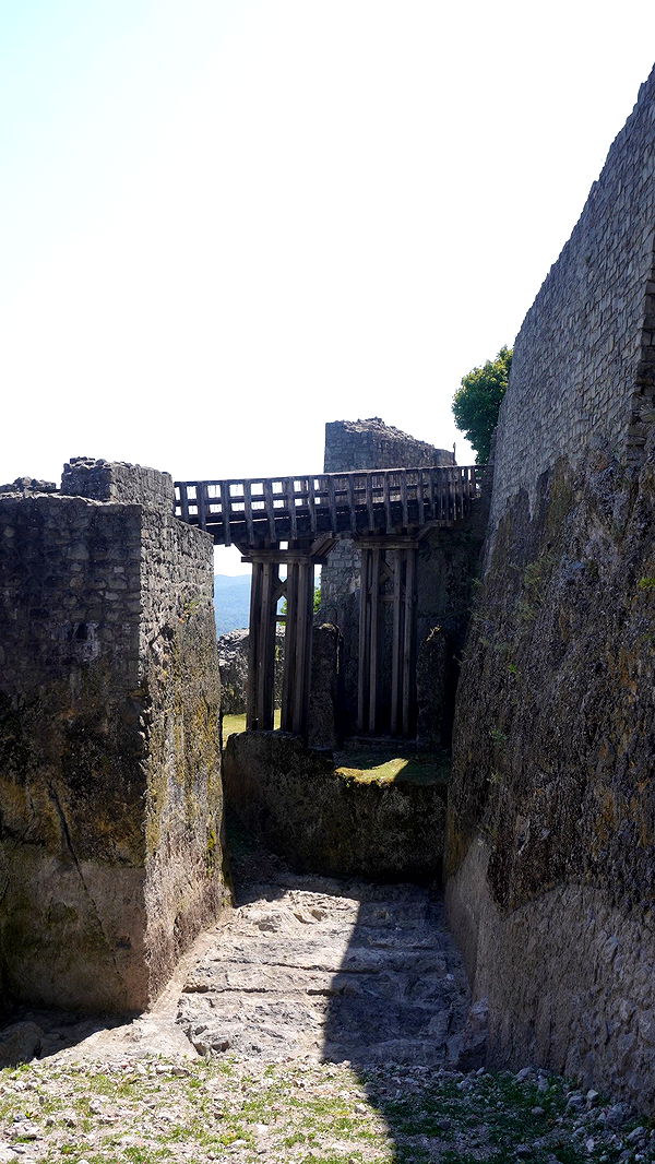 mira.0004 image ~ Altpins