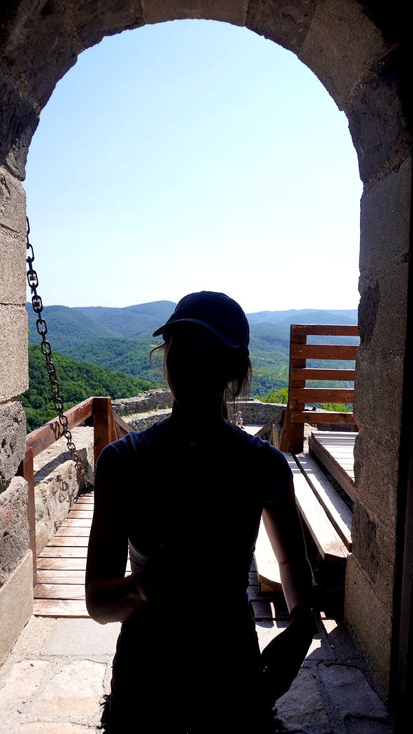 mira.0004 image ~ Altpins