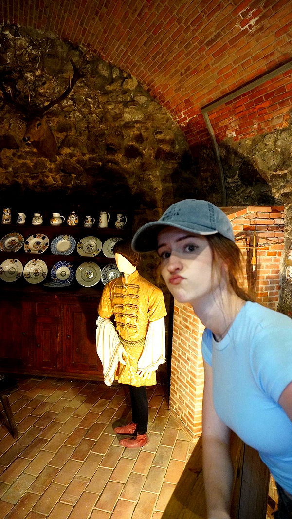 mira.0004 image ~ Altpins