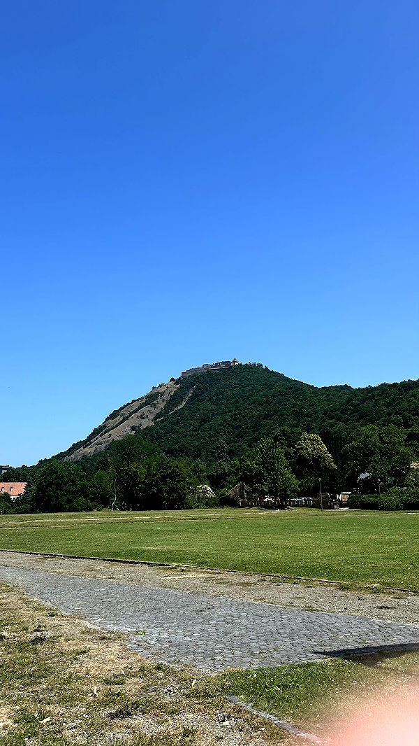 mira.0004 image ~ Altpins