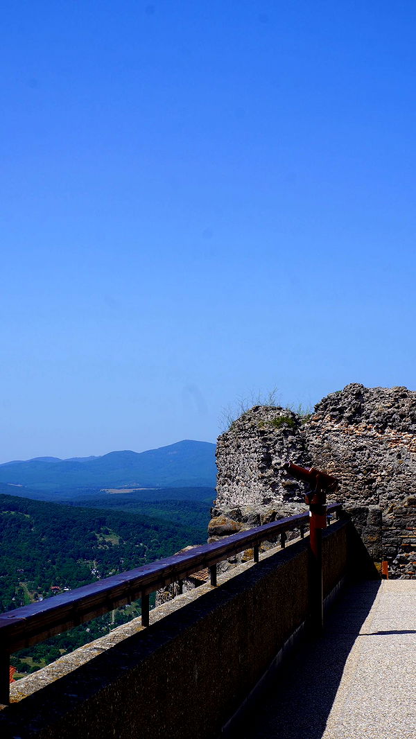 mira.0004 image ~ Altpins