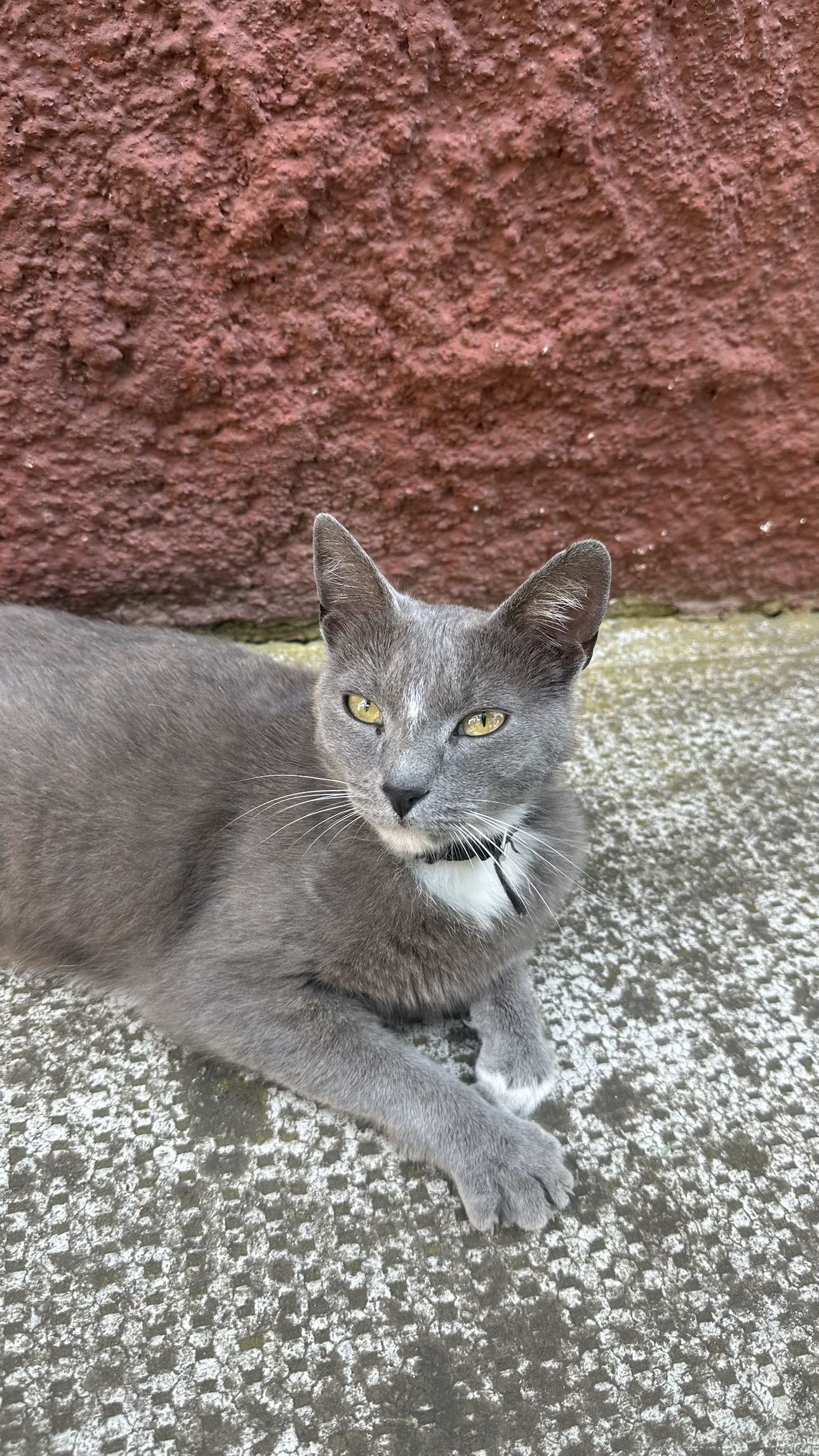 mira.0004 snapchat image archive image