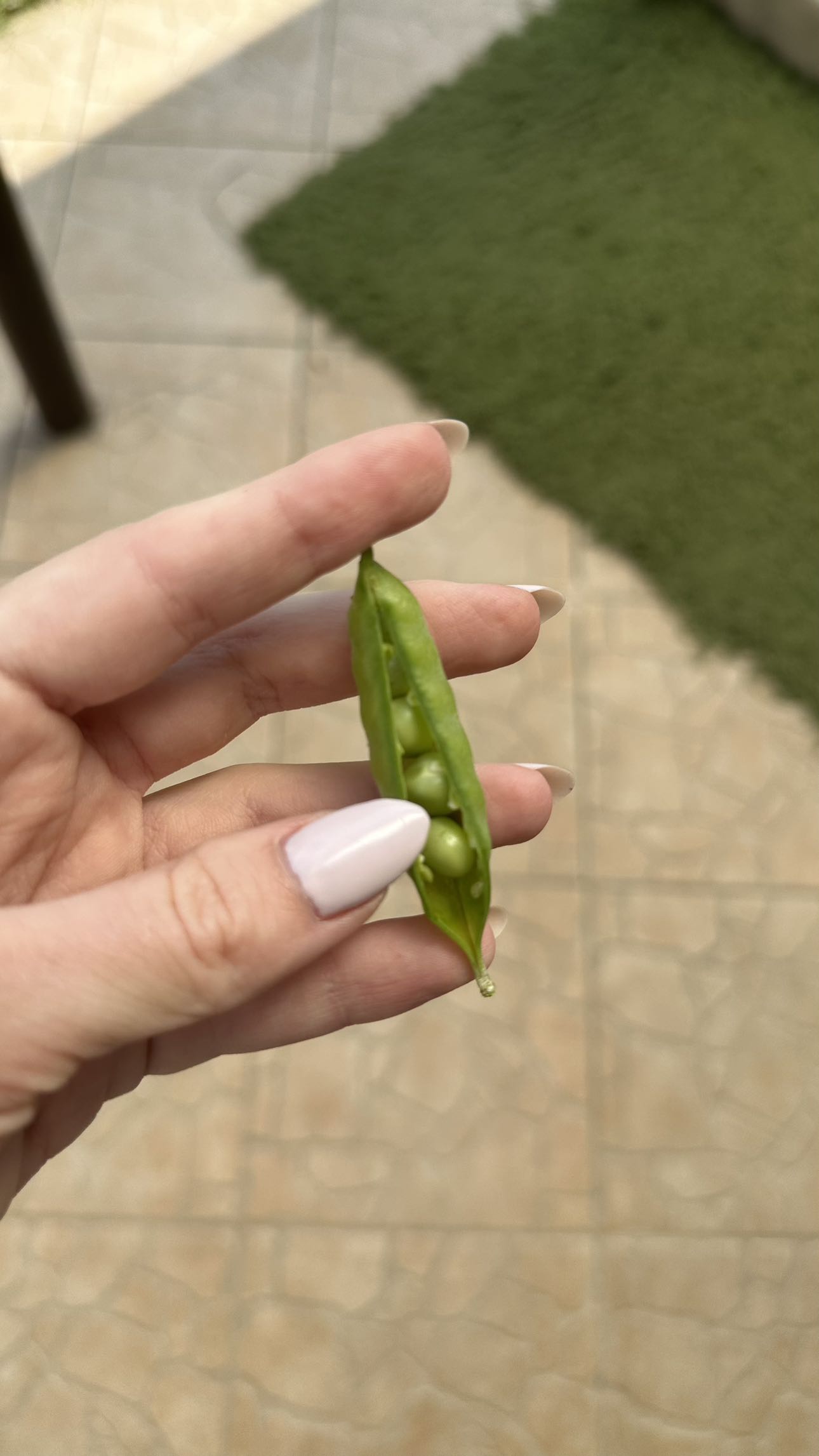 mira.0004 snapchat image archive image