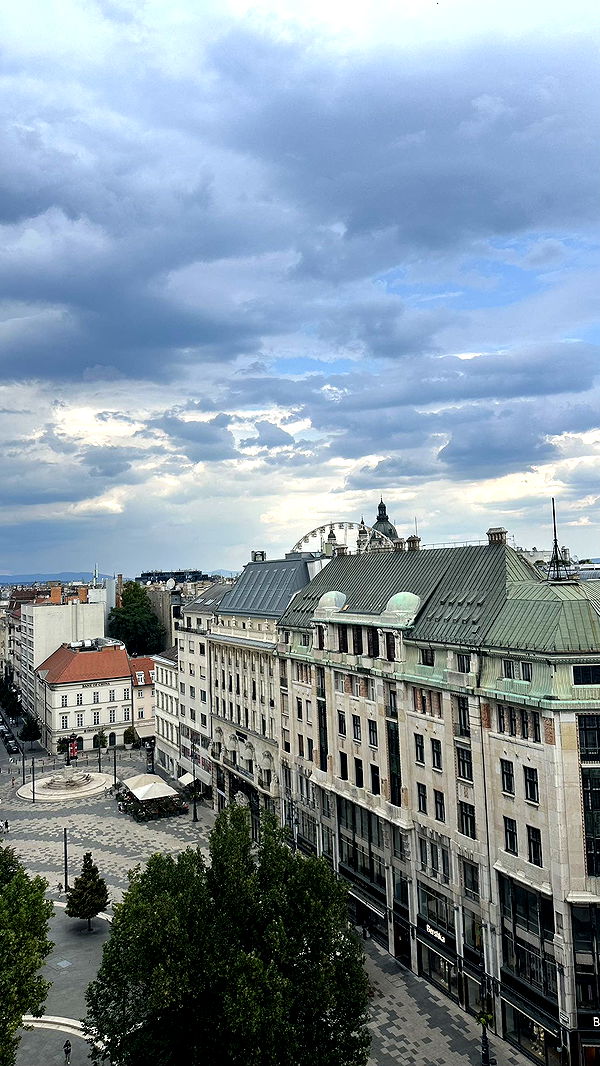 mira.0004 image ~ Altpins