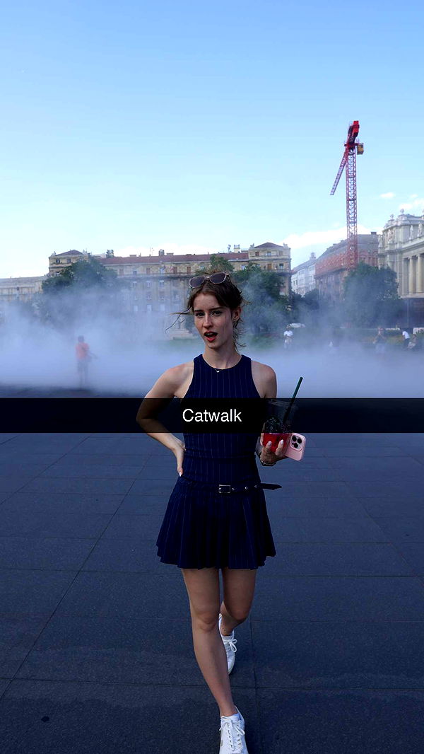 mira.0004 image ~ Altpins