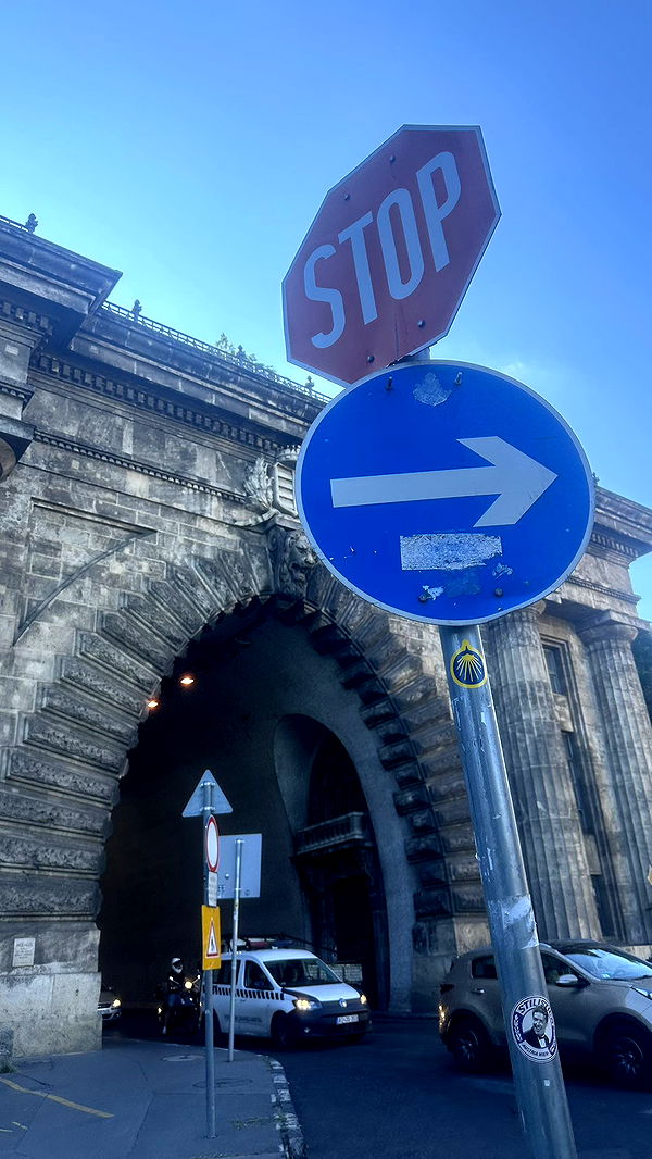 mira.0004 image ~ Altpins