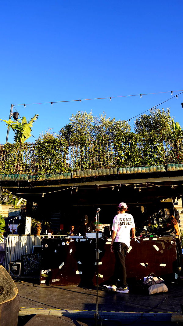 mira.0004 image ~ Altpins