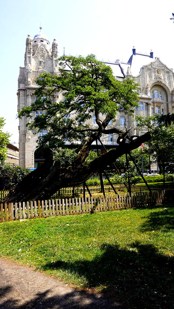 mira.0004 image ~ Altpins