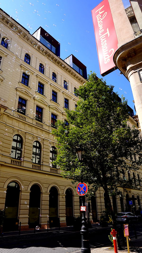 mira.0004 image ~ Altpins