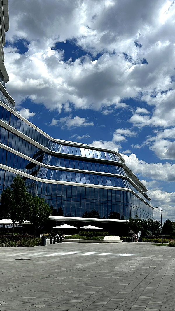 mira.0004 image ~ Altpins