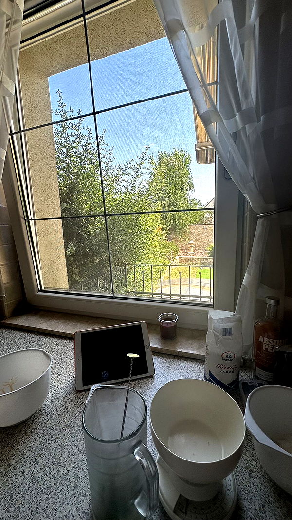 mira.0004 image ~ Altpins