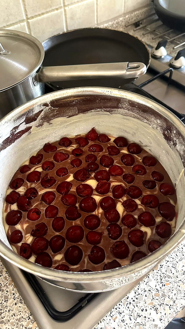 mira.0004 image ~ Altpins